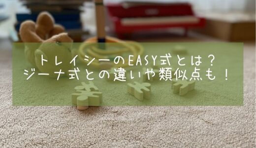 トレイシーのEASY式とは？ジーナ式との違いや類似点も！