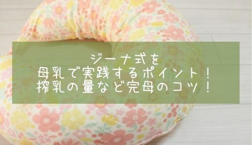 ジーナ式を母乳で実践するポイント！搾乳の量など完母のコツ！