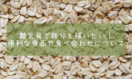 離乳食で鉄分を補いたい！便利な食品や食べ合わせについて