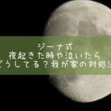 ジーナ式　夜起きた時や泣いたらどうしてる？我が家の対処法