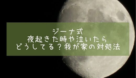 ジーナ式　夜起きた時や泣いたらどうしてる？我が家の対処法