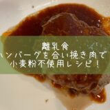 離乳食ハンバーグを合い挽き肉で！小麦粉不使用レシピ！