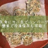 離乳食にサバ缶ハンバーグ！簡単で冷凍保存も可能！