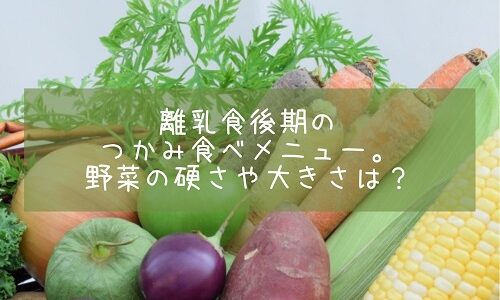 離乳食後期のつかみ食べメニュー。野菜の硬さや大きさは？