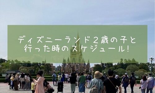 ディズニーランド２歳の子と行った時のスケジュール!