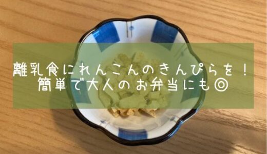 離乳食にれんこんのきんぴらを！簡単で大人のお弁当にも◎