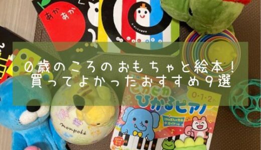 ０歳のころのおもちゃと絵本！買ってよかったおすすめ９選